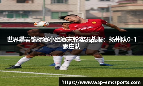 EMC易倍