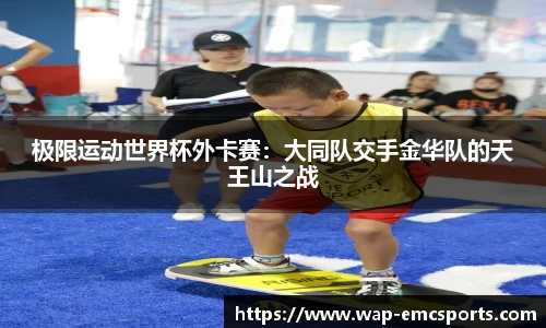 EMC易倍